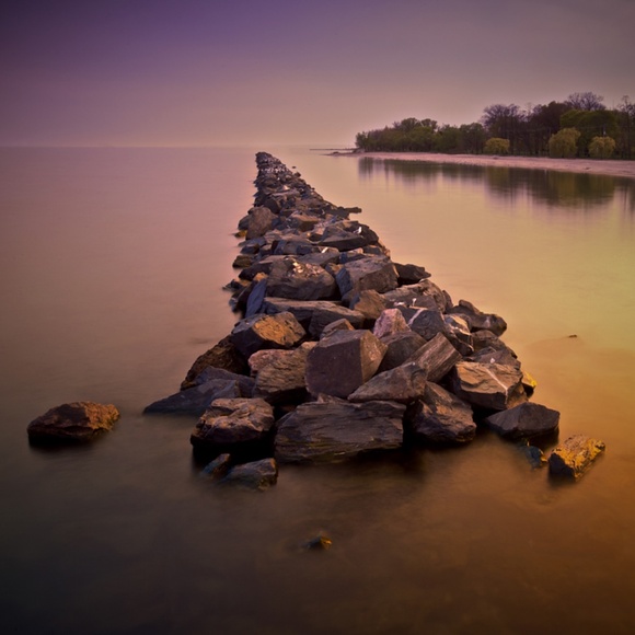 Meet your Posher, Finn - Picture 1 of 1